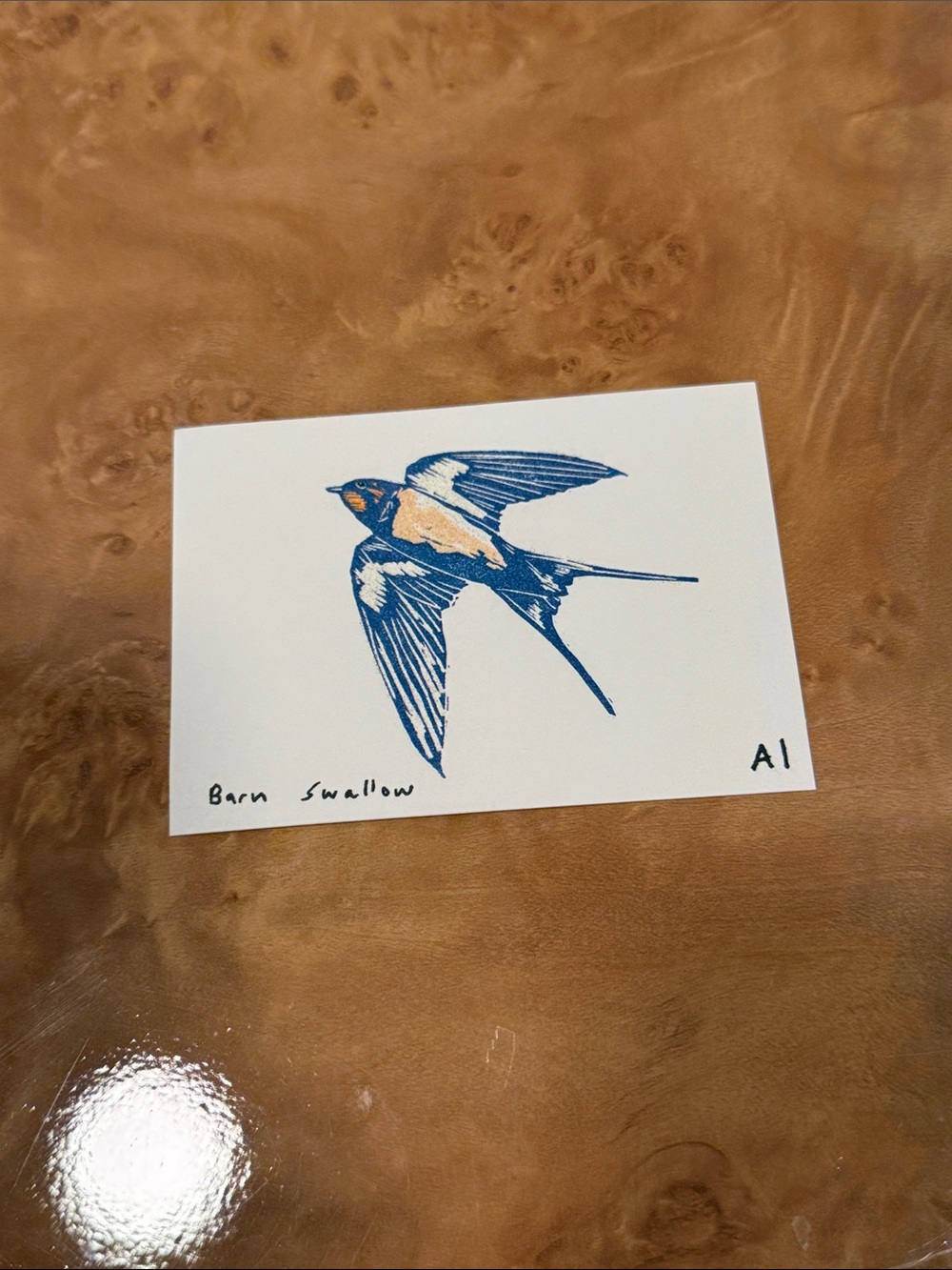 Inciardi Mini Print Barn Swallow